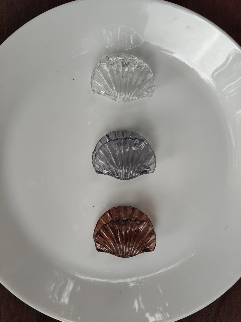 Transparent Seashell Hair Claw Clip | Elegant Acrylic Shell Hair Clip for Women & Girls