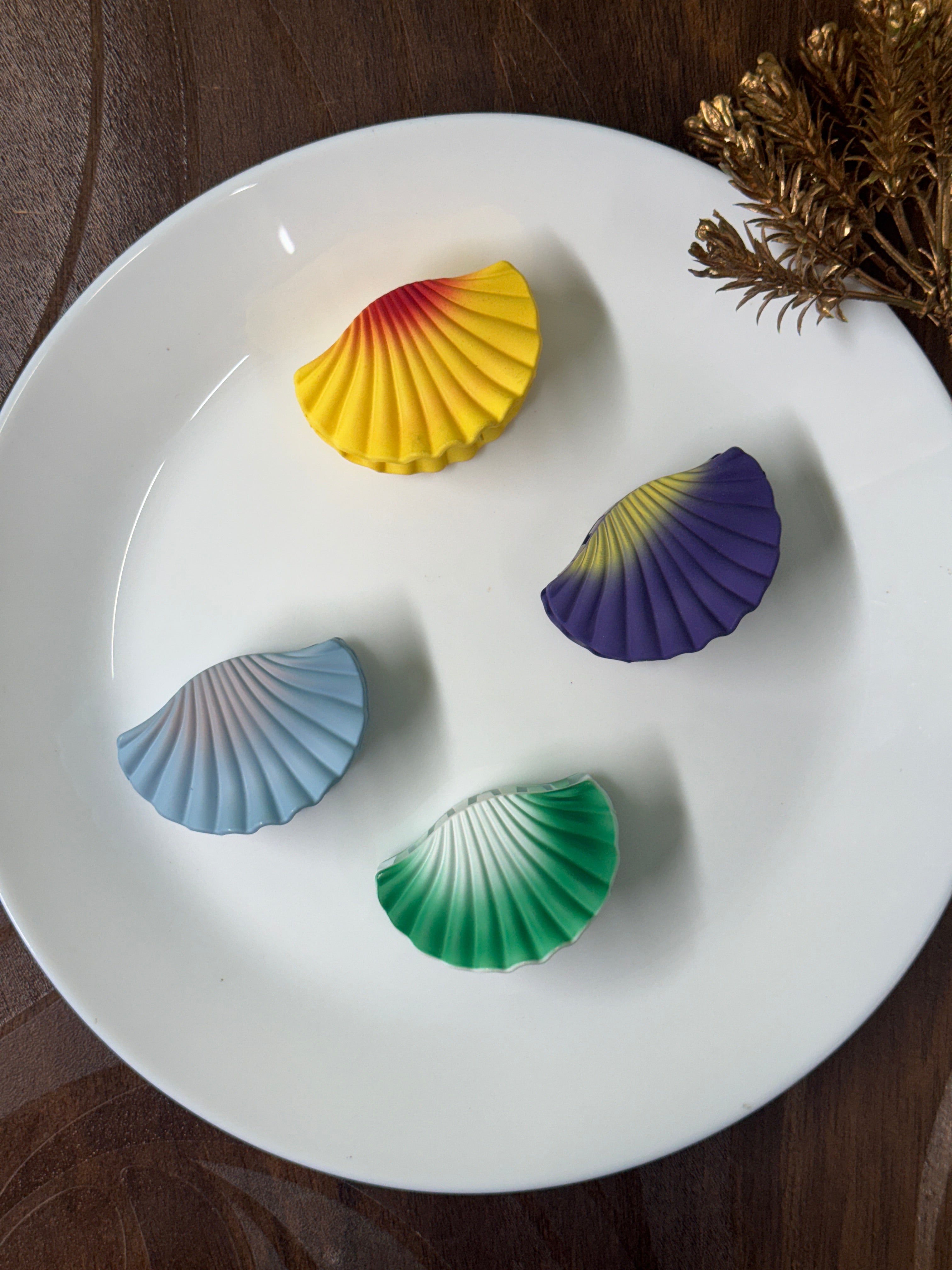 Seashell Matte Claw Clip | Ocean-Inspired Hair Accessory for Women & Girls